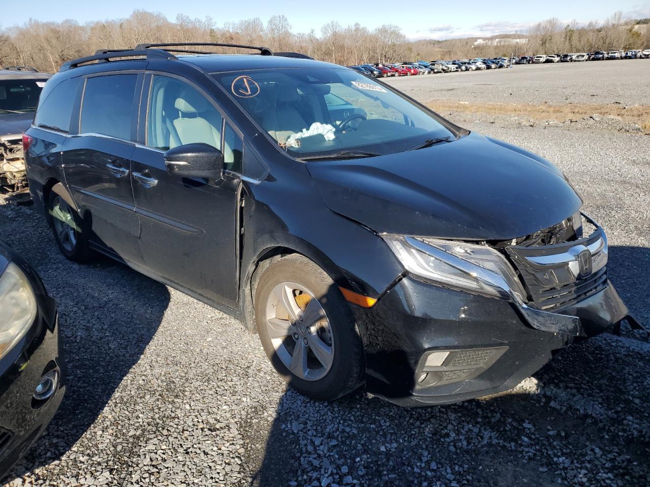 5FNRL6H79KB085699 HONDA All Models 2019