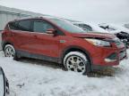 FORD ESCAPE TIT снимка