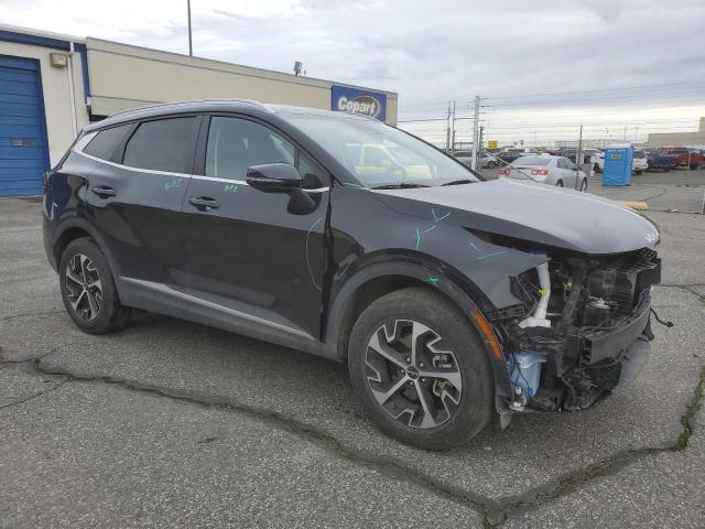 2023 Kia Sportage Ex VIN: 5XYK3CAF8PG013135 Lot: 37084164