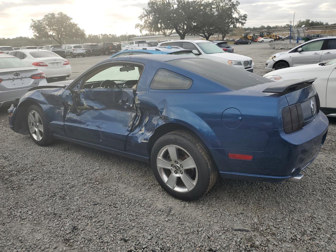 1ZVFT82H365250800 2006 Ford Mustang Gt