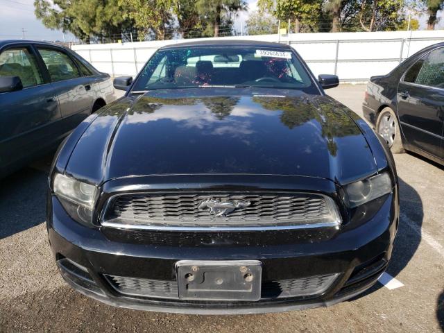 1ZVBP8EM8E5317126 | 2014 FORD MUSTANG