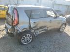 KIA SOUL + photo