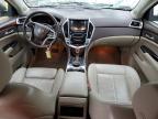 CADILLAC SRX LUXURY photo