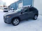 2023 HYUNDAI TUCSON SEL - 5NMJBCAEXPH167003
