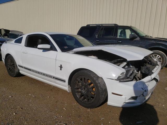 1ZVBP8AM0E5268297 | 2014 FORD MUSTANG