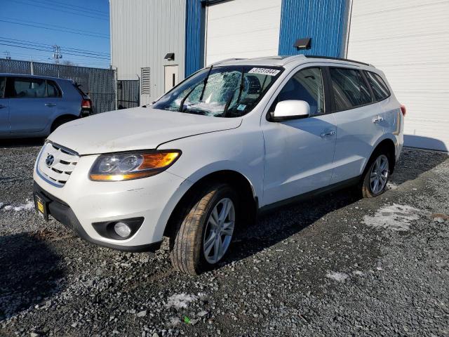 2010 Hyundai Santa Fe Se VIN: 5NMSHDAG8AH389802 Lot: 37231844