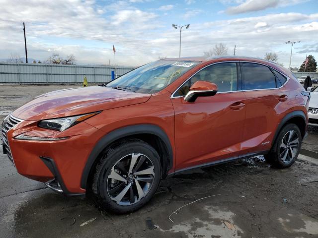 Lot #2390645889 2021 LEXUS NX 300H BA salvage car