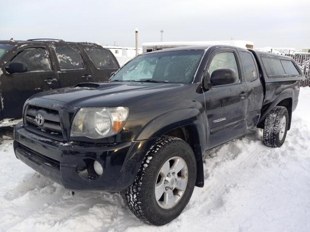 2010 Toyota Tacoma 