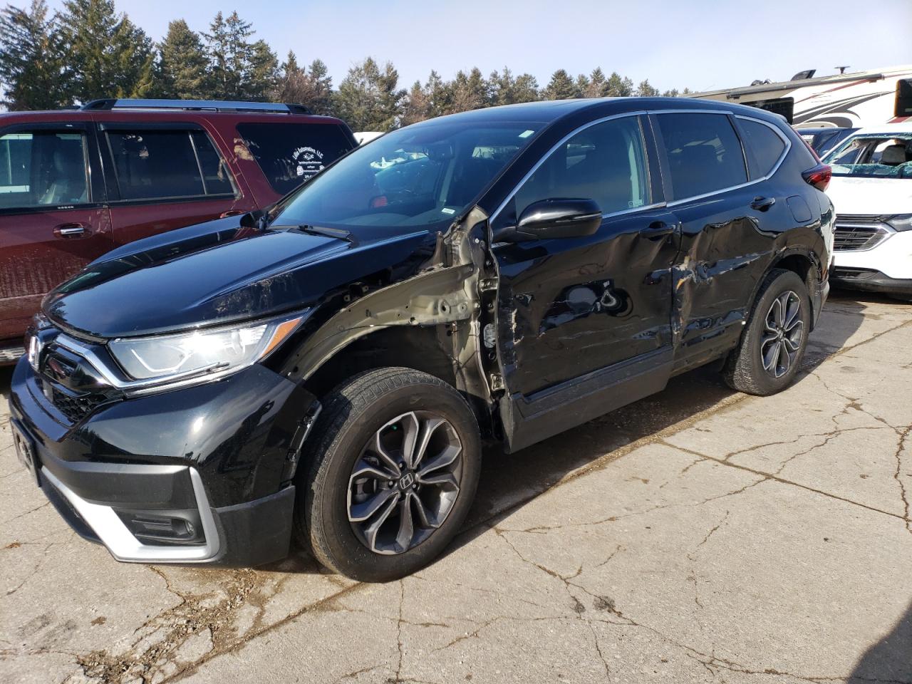 Lot #2923972988 2020 HONDA CR-V EXL