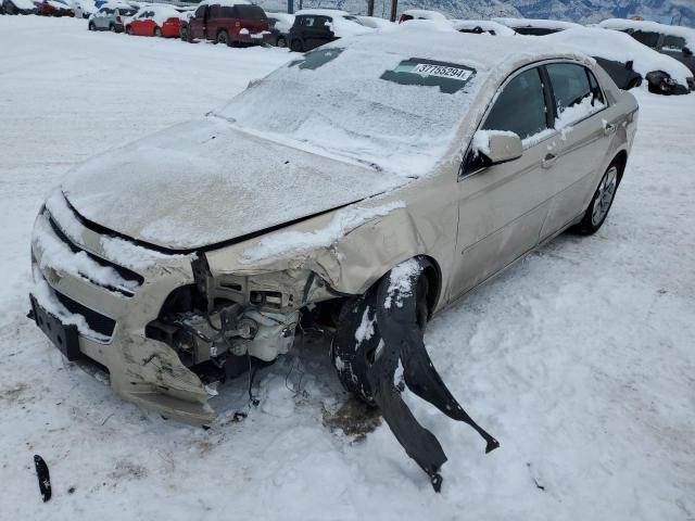 2009 Chevrolet Malibu 