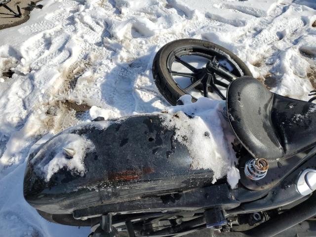 2020 HARLEY-DAVIDSON XL1200 NS 1HD1LP318LB429385