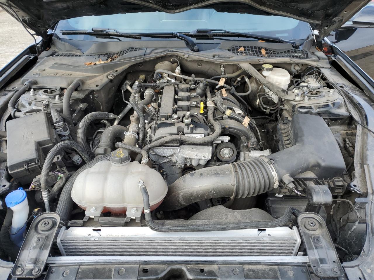 1FATP8UH9N5105725 FORD ALL Models 2022