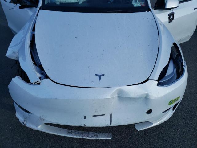 7SAYGAEE8PF801590 | 2023 TESLA MODEL Y