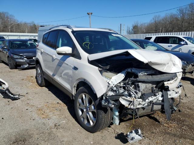 Vin: 1fmcu9jx6eub53317, lot: 40490184, ford escape titanium 20144