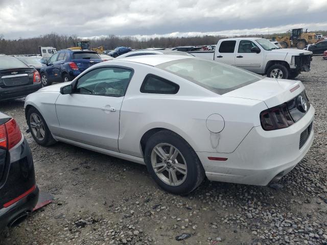 1ZVBP8AM4E5319221 | 2014 FORD MUSTANG