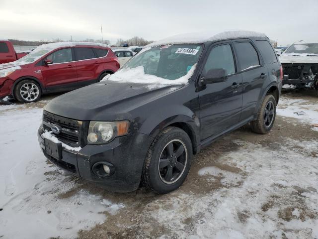 2009 Ford Escape XLT