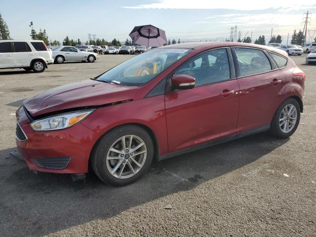 2016 Ford Focus Se VIN: 1FADP3K23GL246584 Lot: 40885224