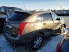 CADILLAC SRX LUXURY photo