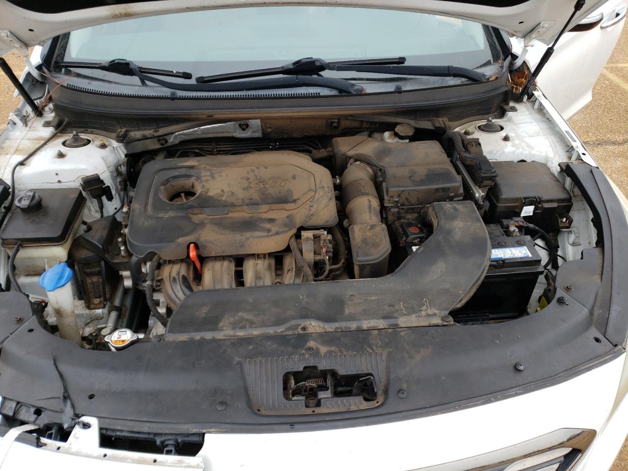 5NPE34AF9FH169369 2015 Hyundai Sonata Sport