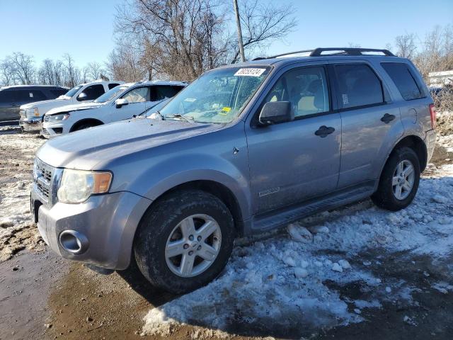 2008 Ford Escape 