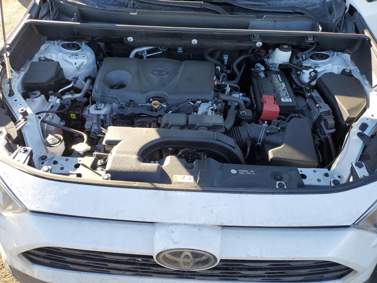 2T3P1RFV5MW203910 TOYOTA RAV4 2021