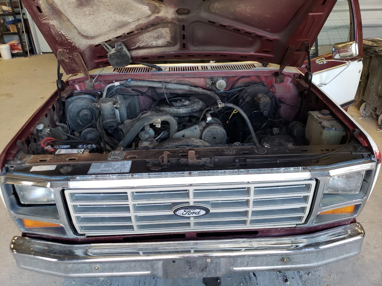 1FTDF15F9DPA85484 1983 Ford F150