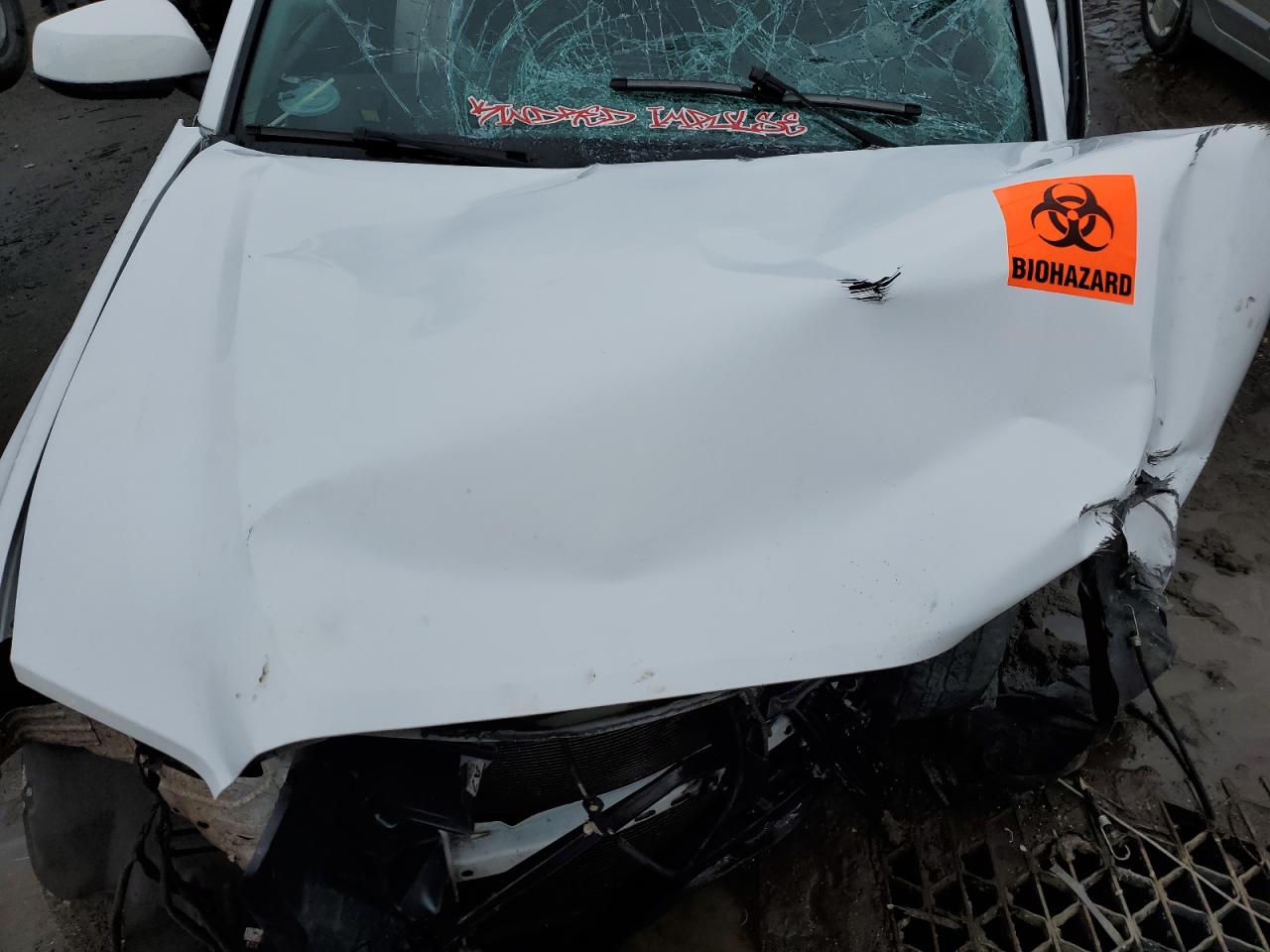 3TMBZ5DN2JM017267 TOYOTA TACOMA 2018