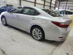 LEXUS ES 300H photo