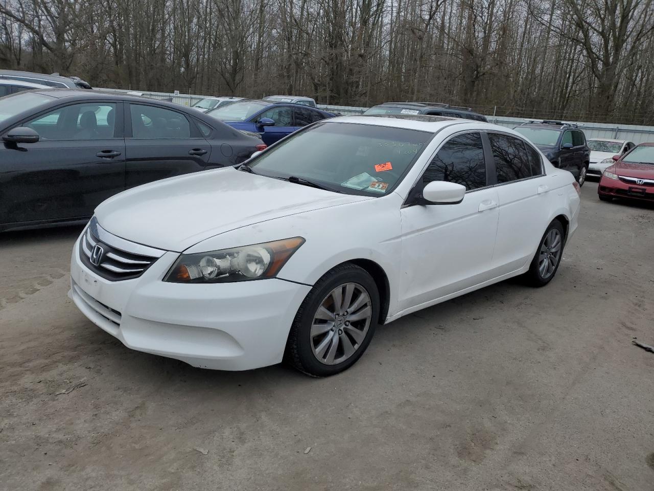 1HGCP2F80BA144356 2011 Honda Accord Exl