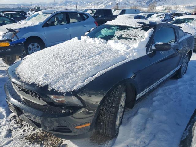 Vin: 1zvbp8am5c5268132, lot: 82860363, ford all models 2012 img_1