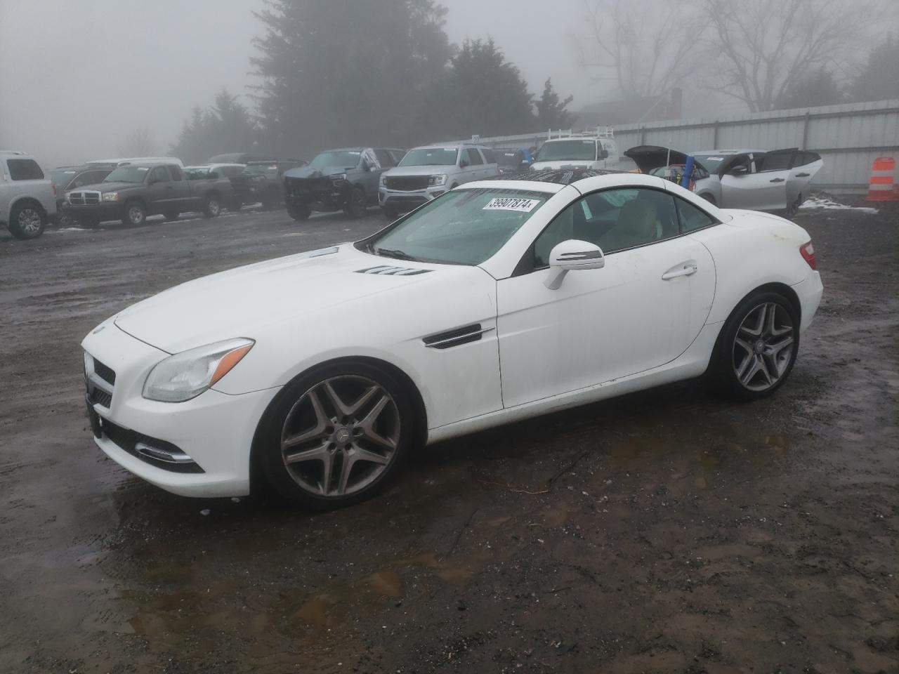 Mercedes SLK 250