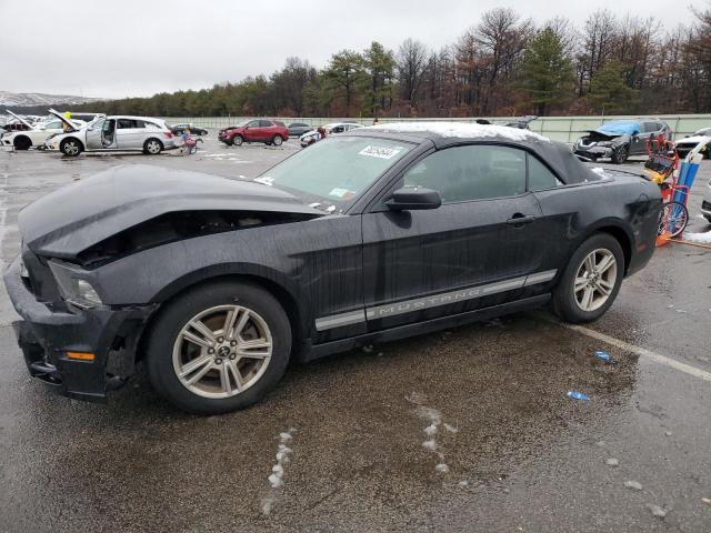 Lot #2390116119 2014 FORD MUSTANG salvage car