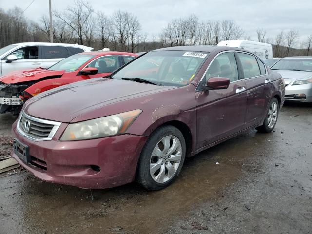 2008 Honda Accord Coupe EX