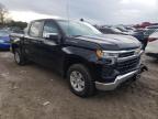 Lot #3006696471 2022 CHEVROLET SILVERADO