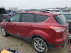 Lot #2526755150 2013 FORD ESCAPE SEL