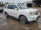 Lot #2907358979 2009 HONDA PILOT TOUR