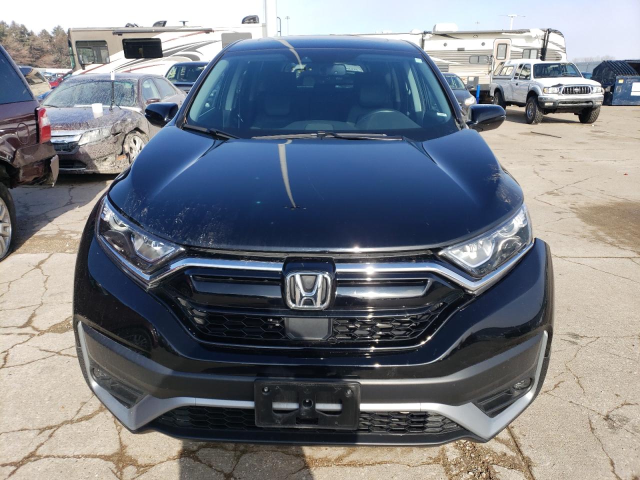 Lot #2923972988 2020 HONDA CR-V EXL