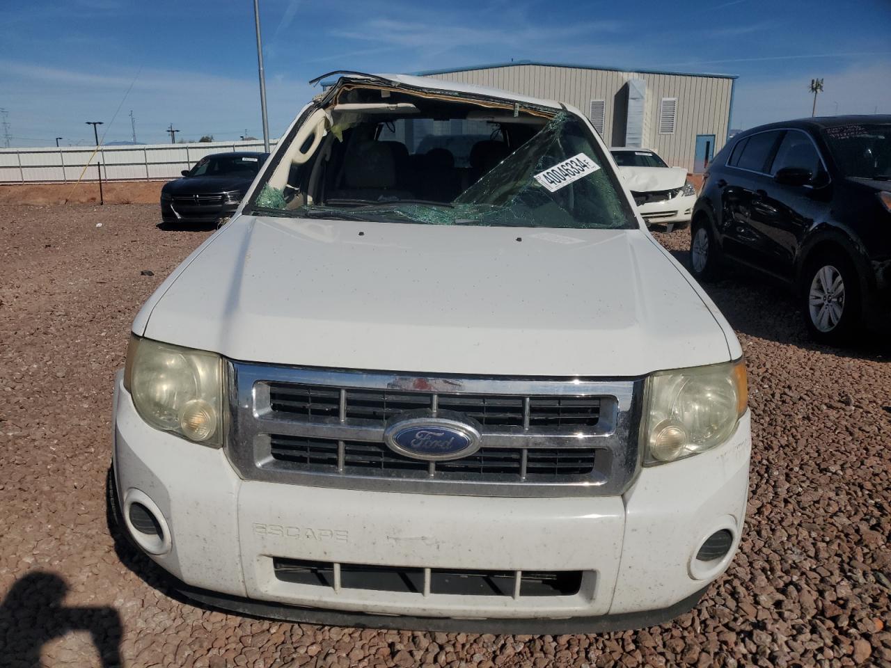 Lot #2770901834 2009 FORD ESCAPE XLS