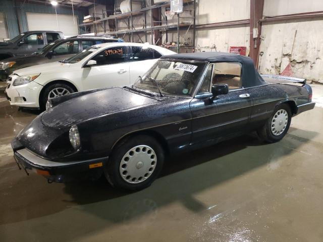 1990 Alfa Romeo Spider Graduate VIN: ZARBA12C4L6002165 Lot: 39873674