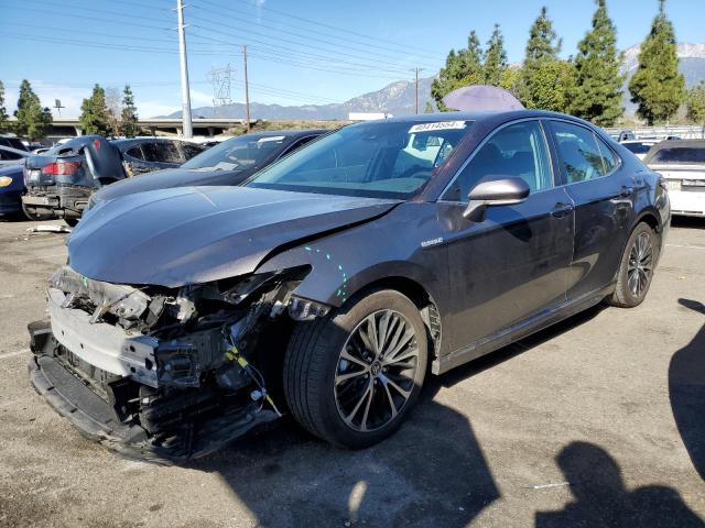 2019 Ford Fusion, Energi Tita...