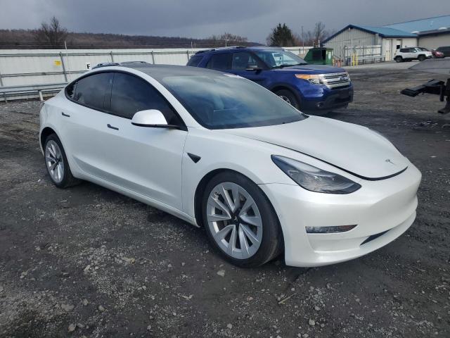 5YJ3E1EA5MF047165 | 2021 TESLA MODEL 3