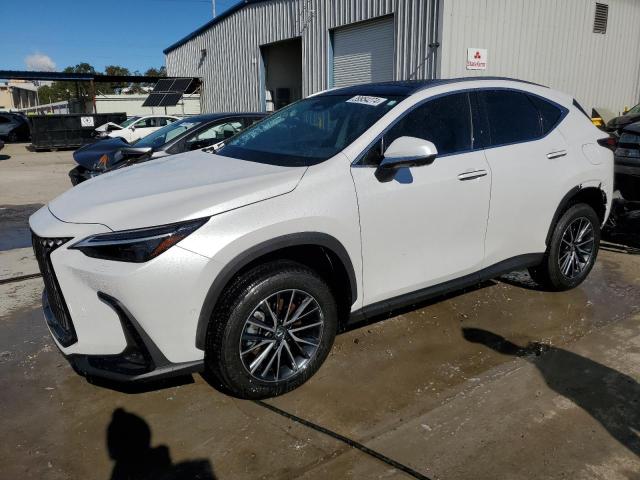 2024 Lexus NX 