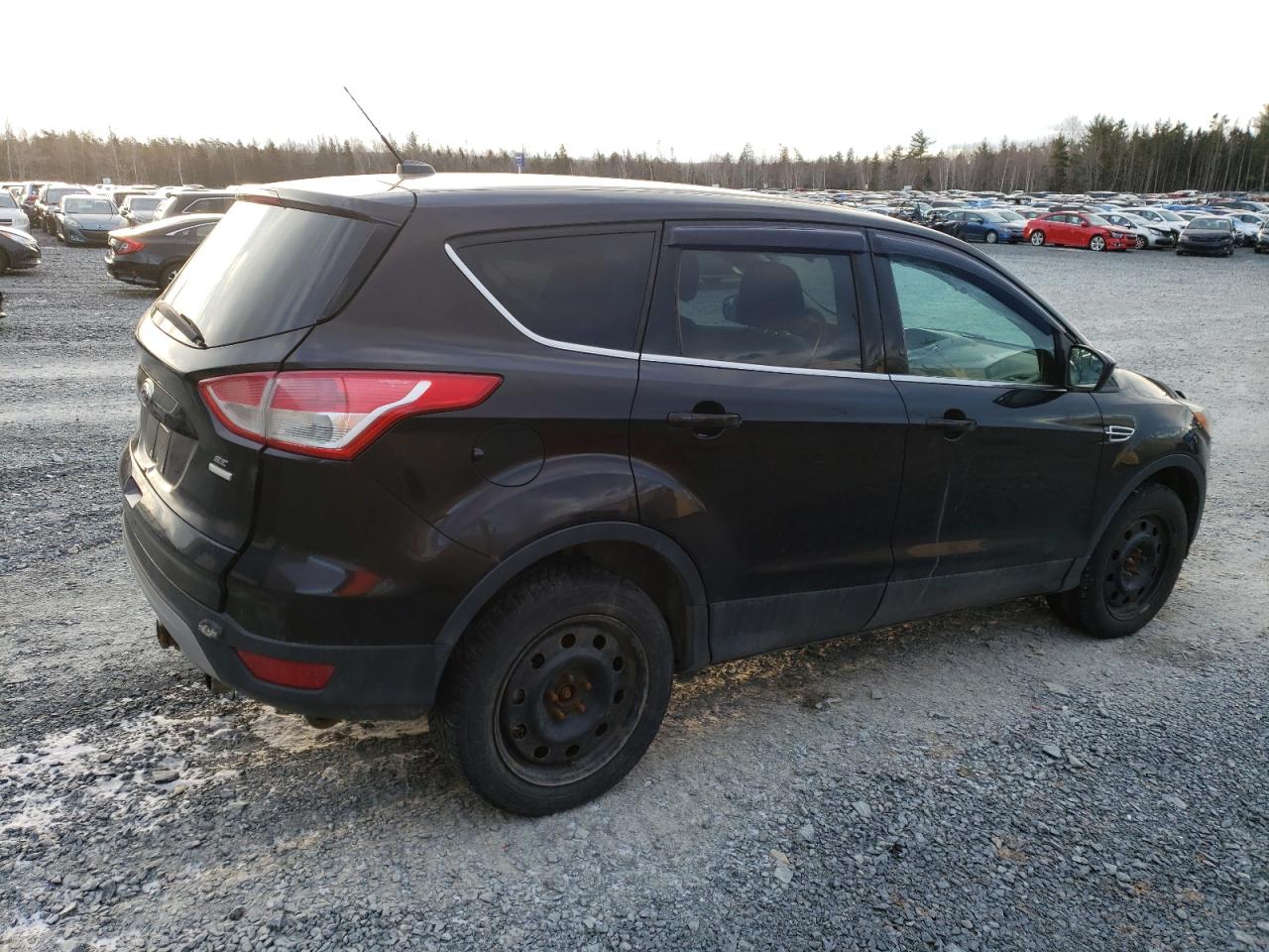 1FMCU9GX5DUA75781 2013 Ford Escape Se