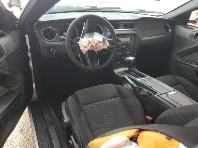 2012 Ford Mustang VIN: 1ZVBP8AM3C5256397 Lot: 40048524