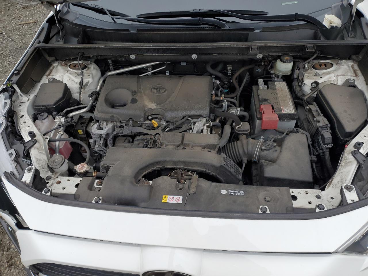 JTMP1RFV7KD028103 TOYOTA RAV4 2019