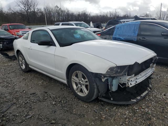 1ZVBP8AM4E5319221 | 2014 FORD MUSTANG