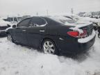 Lot #3034544742 2005 LEXUS ES 330