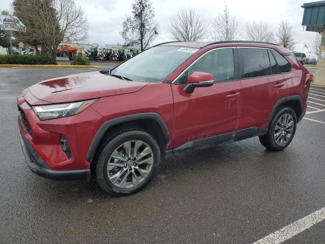 Lot #2339226198 2023 TOYOTA RAV4 XLE P salvage car