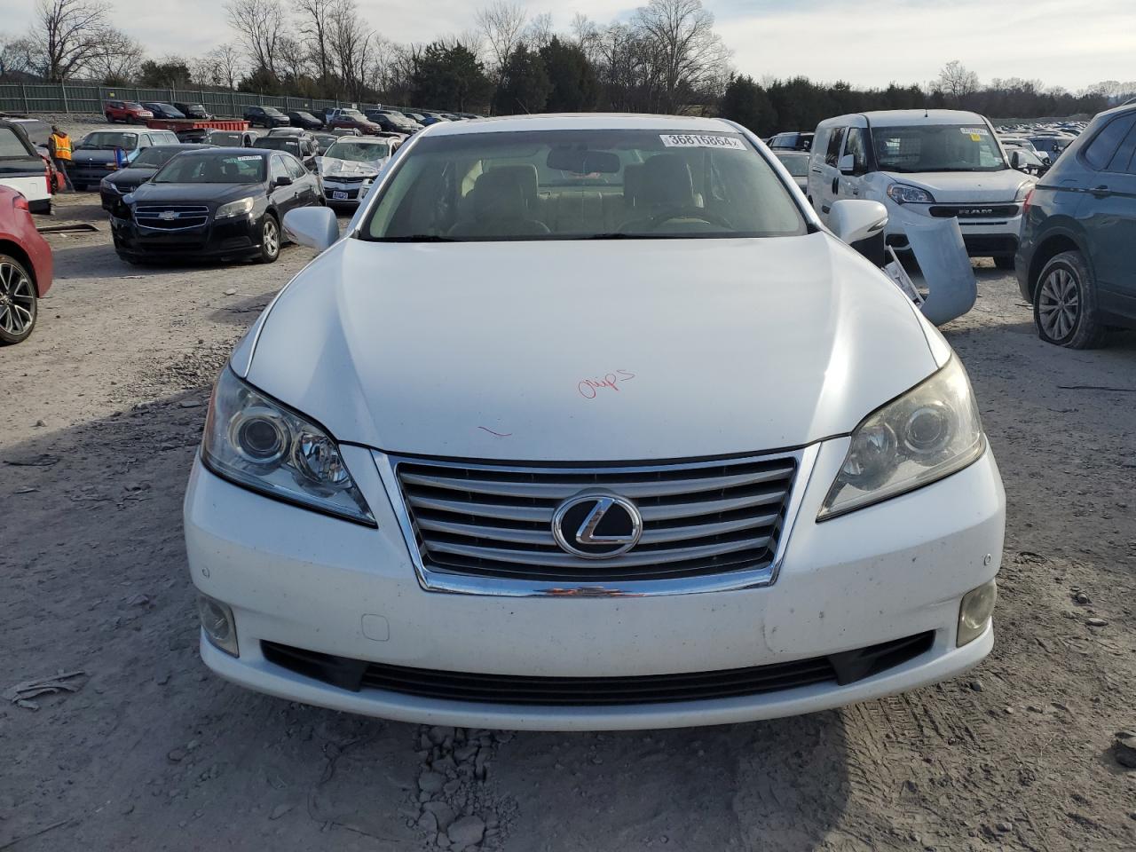 Lot #2819029270 2011 LEXUS ES 350