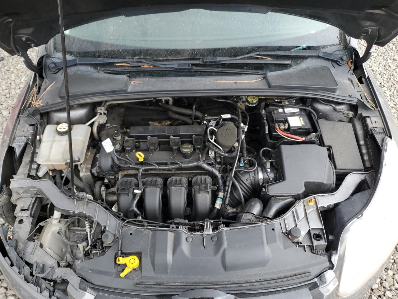 1FAHP3M2XCL394322 2012 Ford Focus Sel